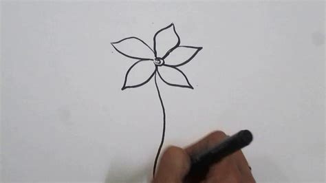 How To Draw A Jasmine Flower - Chocolatemuseum18