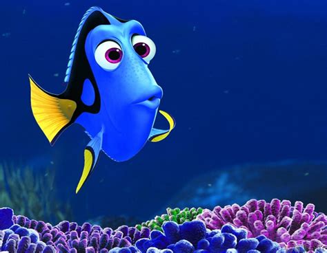 FINDING NEMO Sequel Has A Release Date & A Title: FINDING DORY | CHUD.com