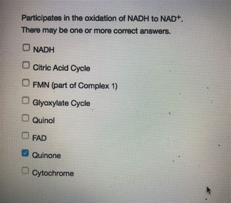 Solved Participates in the oxidation of NADH to NAD+. There | Chegg.com