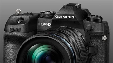 Wildlife photography with the Olympus mirrorless system - Wild Eye