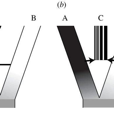 Two possible routes to hybrid speciation. (a) Hybrid trait speciation... | Download Scientific ...