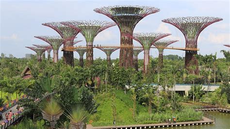 Gardens by the Bay – My Singapore Travel