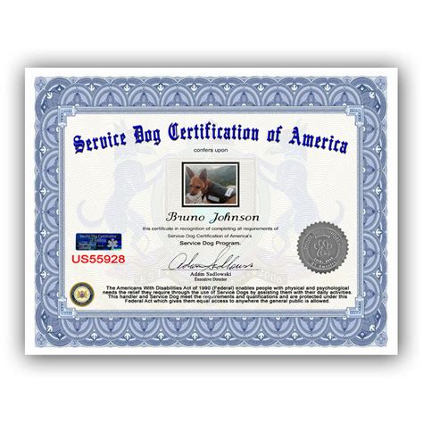 Service Dog Certificate » Service Dog Certification of America | SDCA