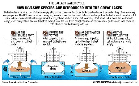 Ballast Water Exchange and Management Plan – Everything You Wanted to ...