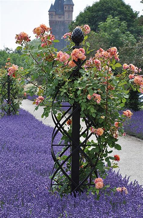 These Metal Garden Trellises are Beautiful With or Without Plants ...