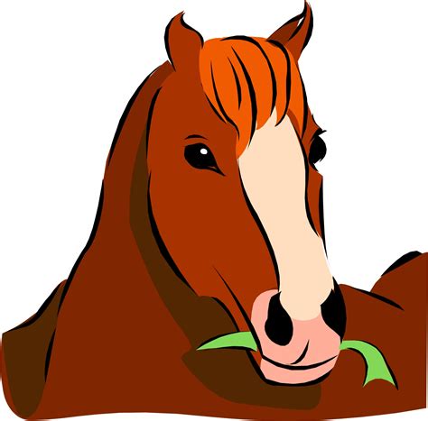 Cute Horse Head Cartoon - ClipArt Best - ClipArt Best