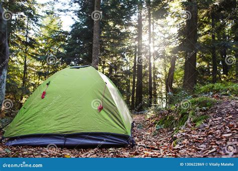 Green Tent in a Pine Woods in Fall Stock Image - Image of forest, outdoors: 130622869