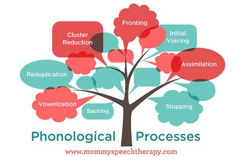 What are Phonological Processes? - Mommy Speech Therapy