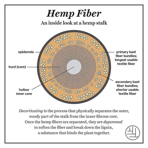 It starts with a stalk: making hemp textiles requires different ...