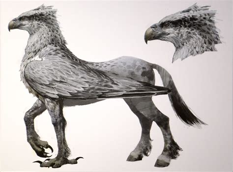 Hippogriff | Steven Vacher | Flickr