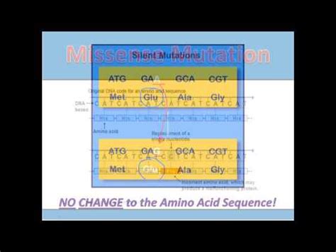 Silent Mutation — Definition & Examples - Expii