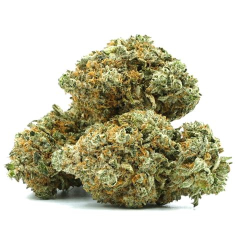 Black Gas | The Herb Centre