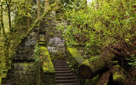 Fonds d'ecran 3840x2400 USA Forêts Forest Park Portland Oregon Escalier Bryophyta Nature ...