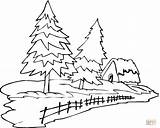 pine tree coloring Page 712950 sketch template