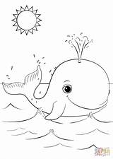 Cute Cartoon Whale coloring Page  Free Printable Coloring Pages sketch template
