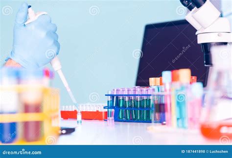 Scientific Experiment in Microbiology Laboratory. Pipetting Genetic ...