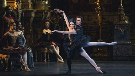 The Royal Ballet on why Swan Lake is one of the best loved ballets - YouTube