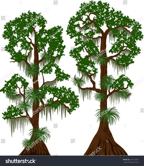 Spanish Moss Tree: Over 20 Royalty-Free Licensable Stock Vectors & Vector Art | Shutterstock