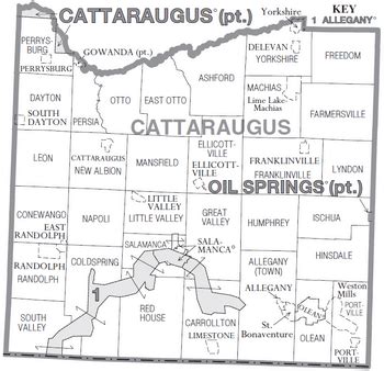 Cattaraugus County, New York Facts for Kids