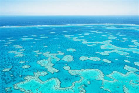 20 interesting facts about the Great Barrier Reef | Atlas & Boots