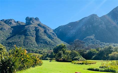 A picture-perfect day at Kirstenbosch Gardens