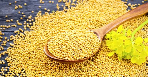 mustard seed benefits to women - FabWoman | News, Style, Living Content For The Nigerian Woman