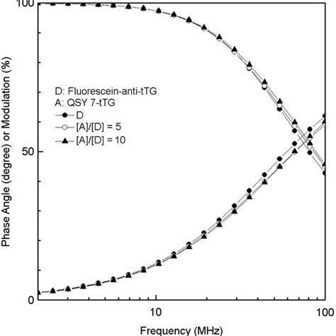 FRET efficiency (E). Data are from Fig. 2, and the E values were ...