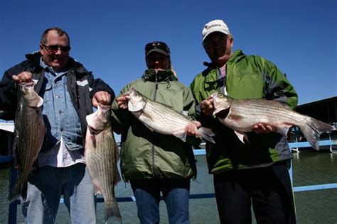 Lake Lewisville Fishing Guides - Fishmasters.com