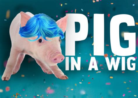 Pig in a Wig 2 - ProjectYM Games