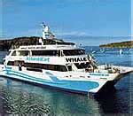 Maine Whale, Seal & Puffin Watching Cruises ~ Acadian Whale Adventures, Bar Harbor Maine