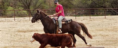 Gymkhana Horse Games | Circle Z Ranch