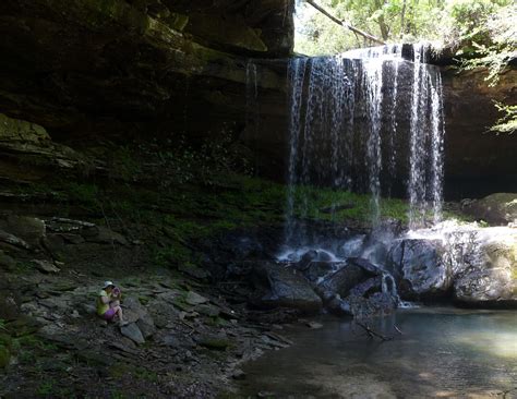 Hike in Bankhead National Forest, June 25 » Wild South