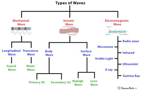 Types of Waves: Characteristics and Examples