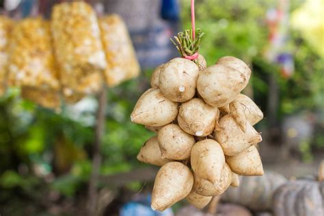 What Is Jicama, and How Is It Used?