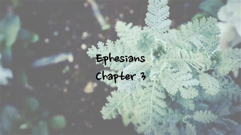 Ephesians 3 - NIV | AUDIO BIBLE & TEXT - YouTube