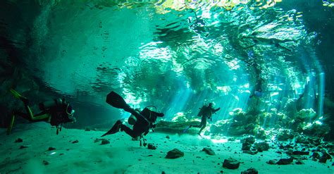 Cenotes | CenoteXperience - Cavern, Cave and Ocean Diving in Playa del Carmen Yucatan Mexico