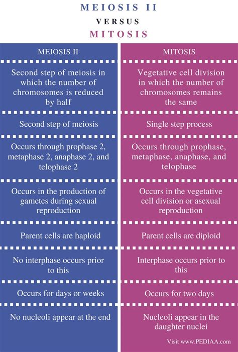 🎉 Two differences between mitosis and meiosis. What are the Similarities and Differences Between ...