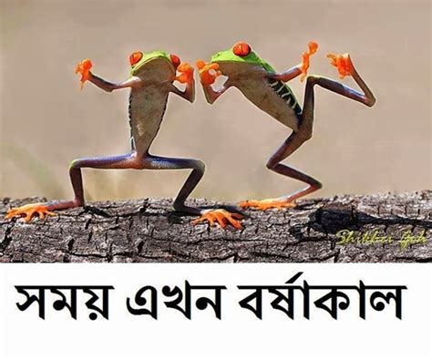 Most funny Bangla FB Comment Photos ~ Charming collection of Photos - Amusement