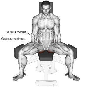 Hip Abduction Machine: Muscles Worked, Benefits & How To Use