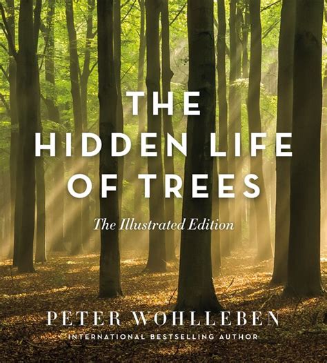 The Hidden Life of Trees: The Illustrated Edition, Book by Peter Wohlleben (Hardcover) | www ...