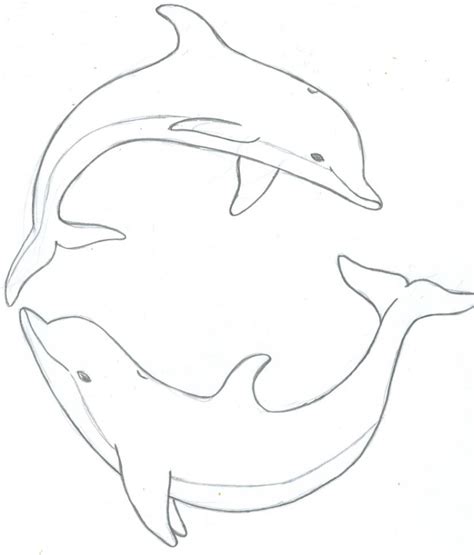 Realistic Dolphin Drawing at GetDrawings | Free download