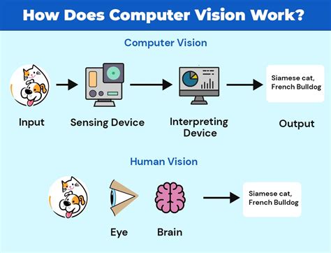 Computer Vision: What this Fancy Term is All About for Businesses