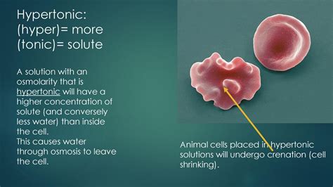 Osmolarity in the real world - ppt download