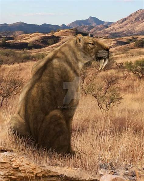 Smilodon | Dinosaurs - Pictures and Facts