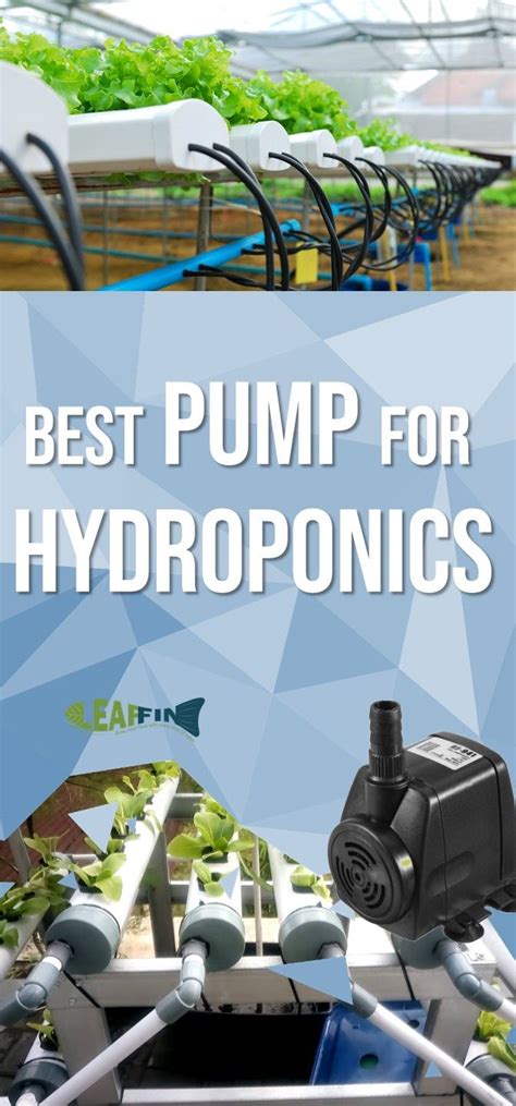 Best Water Pump For Hydroponic & Aquaponic [Size Guide & Timer setup ...