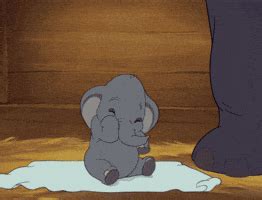 Dumbo GIFs - Find & Share on GIPHY