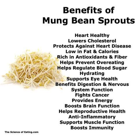 Diabetes and Osteoporosis | Health benefits of beans, Sprouts benefits, Bean sprouts benefits