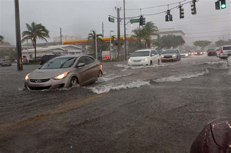 Florida floods: How a lot rain has fallen and will it occur once more? – Z-Lib Blog