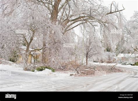 Ice storm damage results in downed trees and ice-covered roads in ...