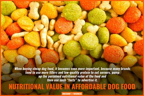 26 Most Affordable Dog Foods – Cheaper Moist, Dry & Freeze-Dried Foods